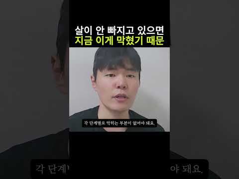 미토콘드리아 살리는 단백질, 다이어트 식단에 꼭 넣어야 하는 이유