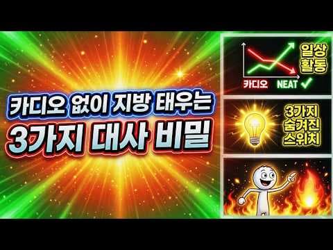 NEAT 활용 다이어트, 일상 속 칼로리 소모로 대사 활성화!