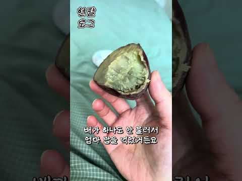 주말 아침 다이어트 식단: 고구마, 계란, 떡으로 가볍게 시작!