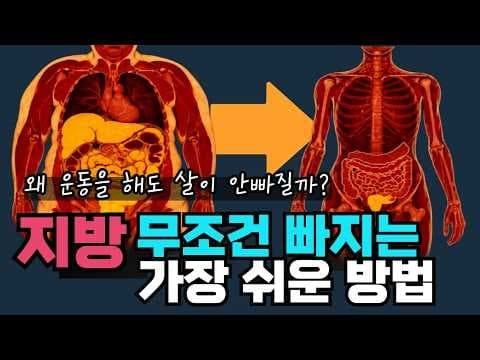 경사 걷기 다이어트 후기: 런닝머신 존투 운동으로 지방 연소!