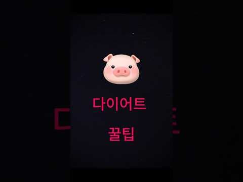 다이어트 저녁 식단 조절, 단백질로 굶지 않고 체중 감량 성공해요!