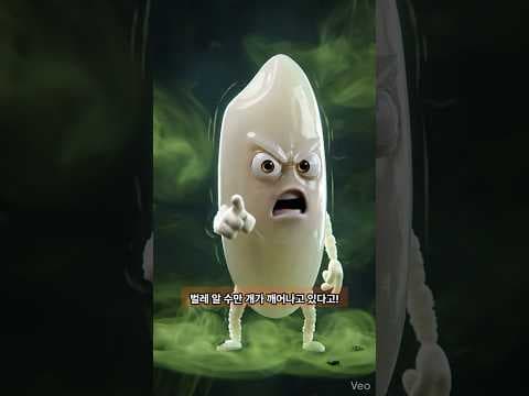 혈당 관리 다이어트: 탄수화물 똑똑하게 보관하고 섭취하는 법