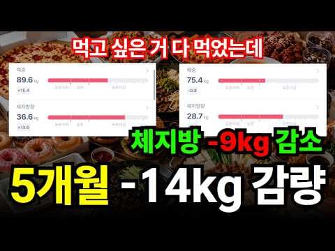 위고비 vs 마운자로 다이어트 후기, 솔직 비교 및 효과 분석