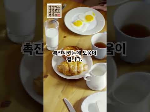 다이어트 성공 비결, 식사 기록 습관 3가지 놓치지 마세요