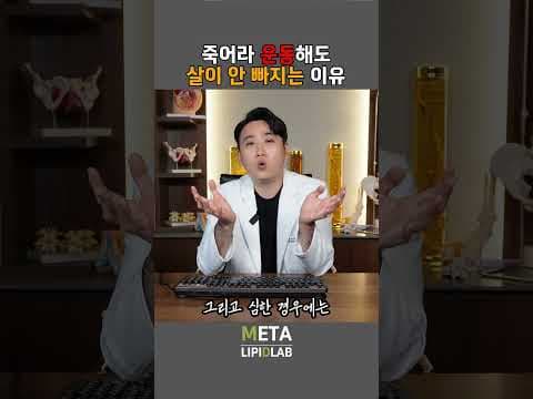무리한 운동은 이제 그만! 요요 없는 건강 다이어트 방법