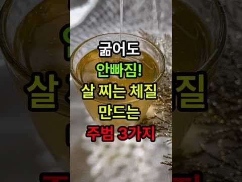스트레스 관리가 다이어트에 미치는 영향: 코르티솔과 액상 과당 줄이기