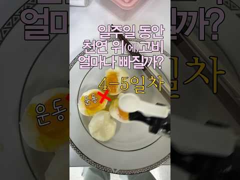 주말 다이어트 성공 후기: 44kg 감량 비법 공개!