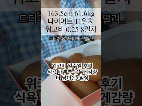 위고비 다이어트 후기: 0.6kg 감량, 솔직한 변화 경험!