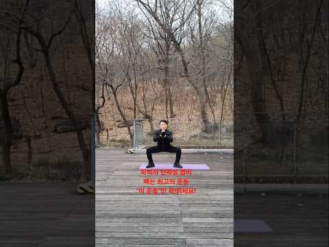 허벅지 안쪽살 다이어트, 와이드 스쿼트 홈트레이닝으로 끝내기!
