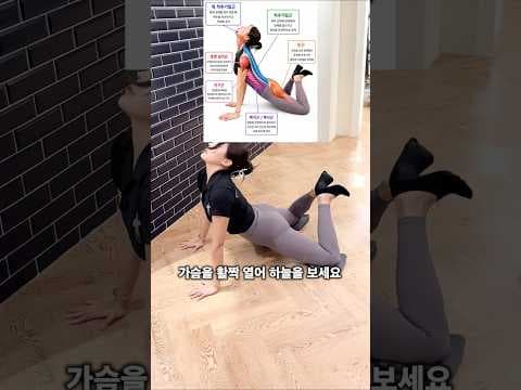 집에서 하는 허벅지 안쪽살 다이어트 운동, 효과적인 홈트레이닝 루틴
