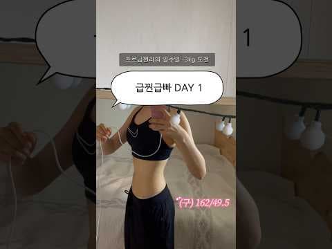 급찐급빠 다이어트 성공! 붓기차 & 단백질 쉐이크 식단 후기