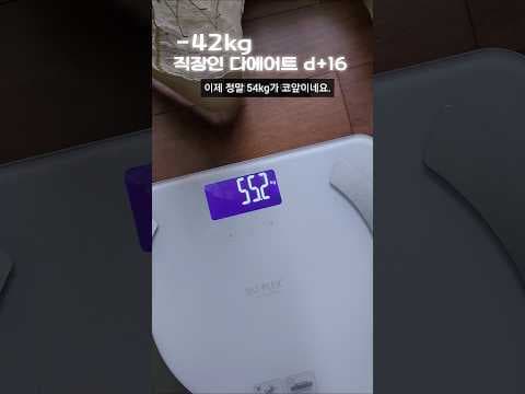 식단 무너짐 극복! 애사비와 다이어트 주먹밥 혈당 관리 비법