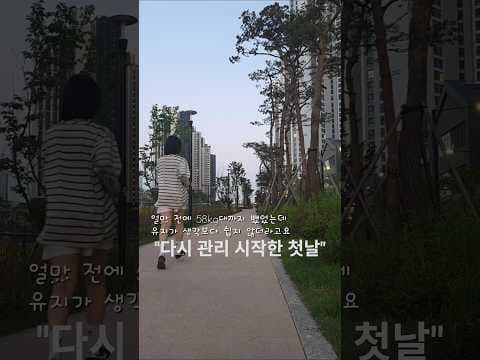 다이어트 재개 성공 후기! 단백질 식단 & 스태퍼 운동 병행