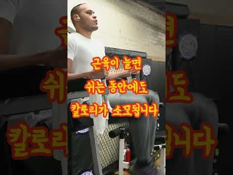 다이어트 정체기 극복 비법! 운동 루틴 변화 (러닝, 수영, 인터벌)
