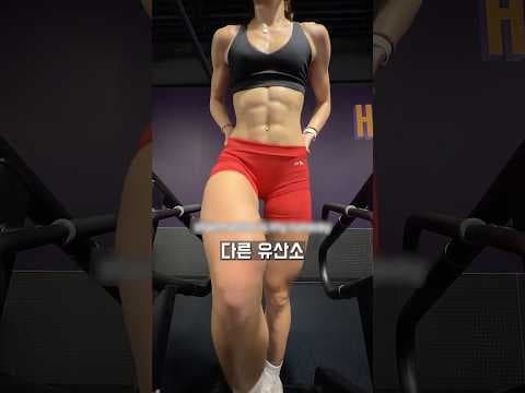 천국의 계단 홈트 다이어트 후기: 효과 및 운동 방법 완벽 분석