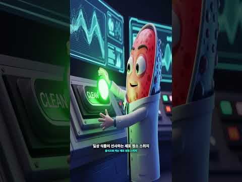오토파지 다이어트: 간헐적 단식, 영양, 운동으로 안티에이징 효과!