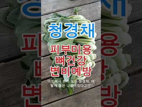 청경채 다이어트: 저칼로리 식단으로 챙기는 피부 & 건강
