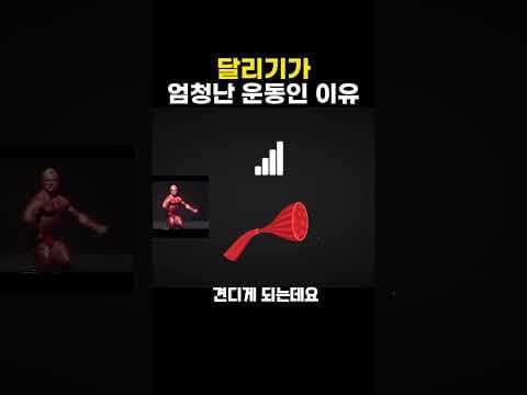 다이어트 효과 2배! 심박수 불태우는 유산소 운동 방법