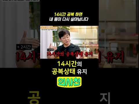 간헐적 단식 다이어트: 12시간 공복, 세포 리사이클링의 시작?