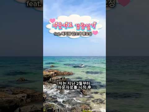 마운자로 다이어트 후기: 체지방 감소 효과, 직접 경험해 보니!