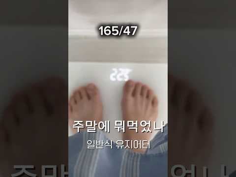 유지어터의 솔직한 다이어트 일상: 고칼로리 음식과 식단 조절