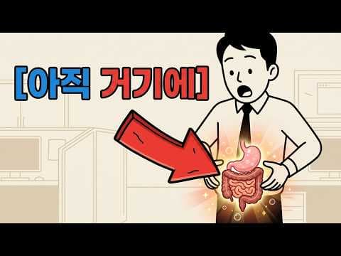 인슐린 관리가 핵심! 간헐적 단식 다이어트로 뱃살 빼는 방법