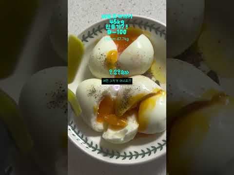 천연 위고비부터 잘록 한포까지! 솔직 다이어트 식단 후기