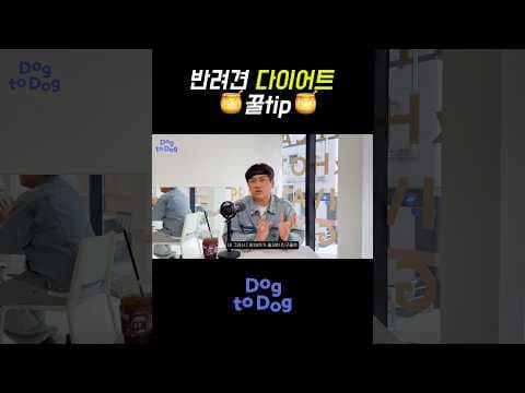 강아지 다이어트 성공! 집에서 매트 & 노즈워크 홈트레이닝