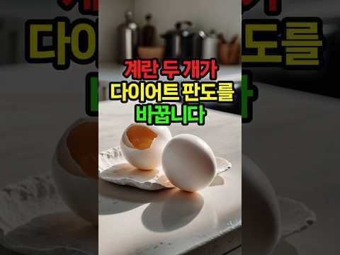 포만감 높여 폭식 막는 저렴한 계란 다이어트 식단 활용법
