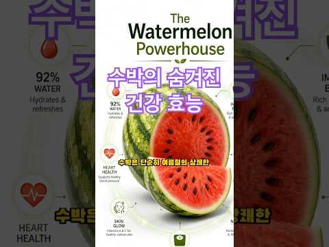 놓치면 후회할 다이어트 수박 효능! 제대로 알고 즐겨봐요