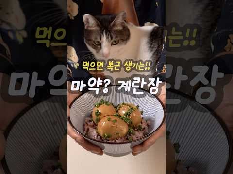 13kg 감량 비법! 다이어트 계란장 저칼로리 레시피